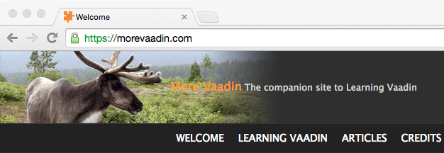 More Vaadin website