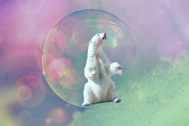 A use-case for local class declaration